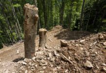 Urwaldzerstörung im Domogled Nationalpark (c) Matthias Schickhofer_EuroNatuUrwaldzerstörung im Domogled Nationalpark (c) Matthias Schickhofer_EuroNatu