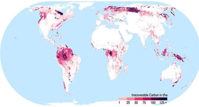 Unwiederbringlicher Kohlenstoff in den Ökosystemen der Erde. Diese Karte zeigt die Kohlenstoffspeicher der Ökosysteme die, wenn sie verloren gehen, bis Mitte des Jahrhunderts nicht wiederhergestellt werden könnten. Aus Noon et al. 2021. Mapping the irrecoverable carbon in Earth's ecosystems. Nature Sustainability.