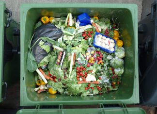 Wasted vegetables and fruits of a hypermarket © Foerster (CC0 1.0 Deed)