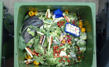 Wasted vegetables and fruits of a hypermarket © Foerster (CC0 1.0 Deed)