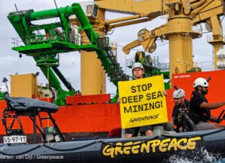 © Marten van Dijl / Greenpeace