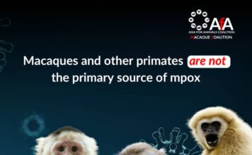 It's important to know that neither macaques nor other nonhuman primates are the primary source of this virus. Graphic: AfA