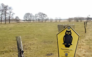 Eindruck des Schutzgebiets Nuthe Nieplitz Niederung in Brandenburg © Johannes Wahl