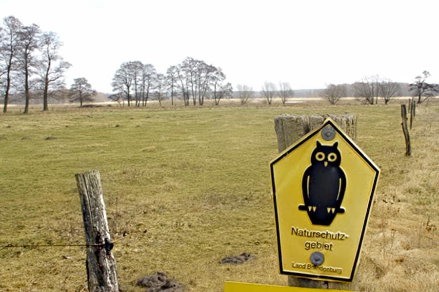 Eindruck des Schutzgebiets Nuthe Nieplitz Niederung in Brandenburg © Johannes Wahl