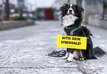 Streusalz - © Mitja Kobal / Greenpeace