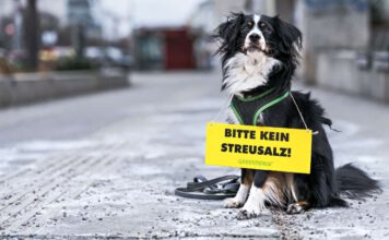 Streusalz - © Mitja Kobal / Greenpeace